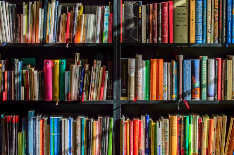 vente-TOURNEFORT-min_books_bookstore_book_reading_shop_writer_sale_books_read-822866