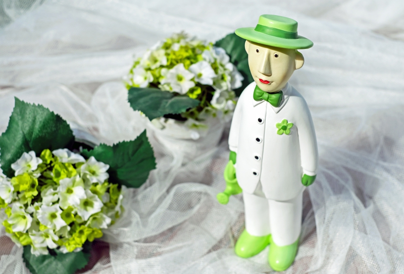 vente-TOURNEFORT-min_man-person-flower-green-toy-fig-546529-pxhere.com